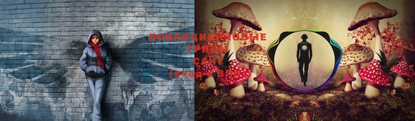 spice Осинники